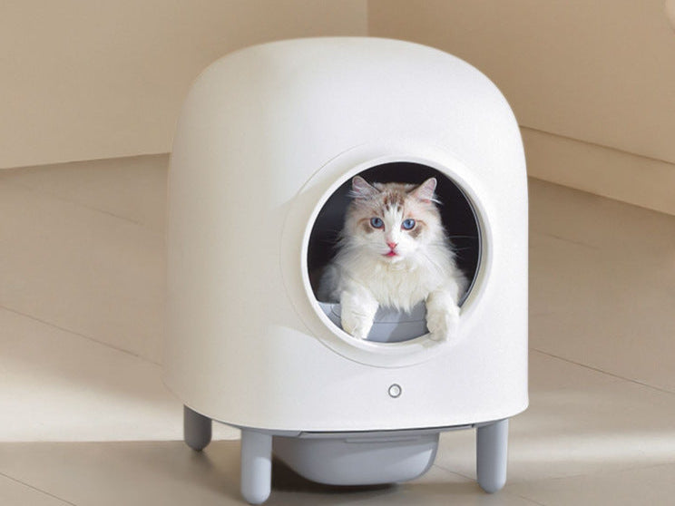 Smart Cat Litter Box