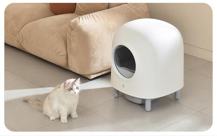 Smart Cat Litter Box