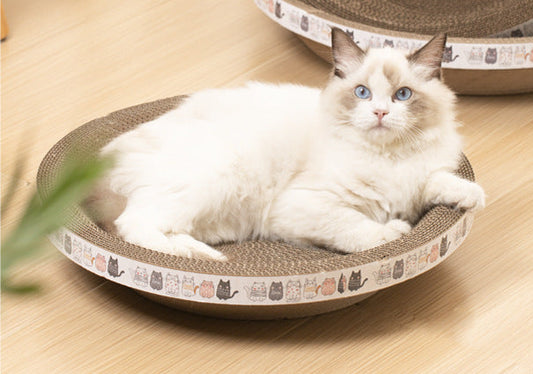 Plush Tunnel Cat Bed