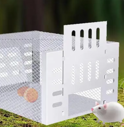 Piège à souris