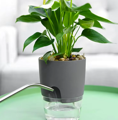 Pot à arrosage automatique